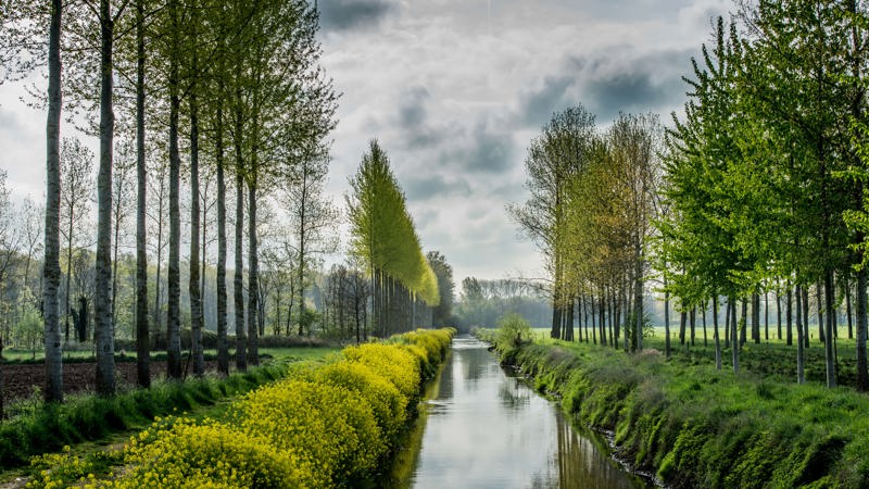 Sfeerbeelden Natuur Diepenbeek 12 (1)