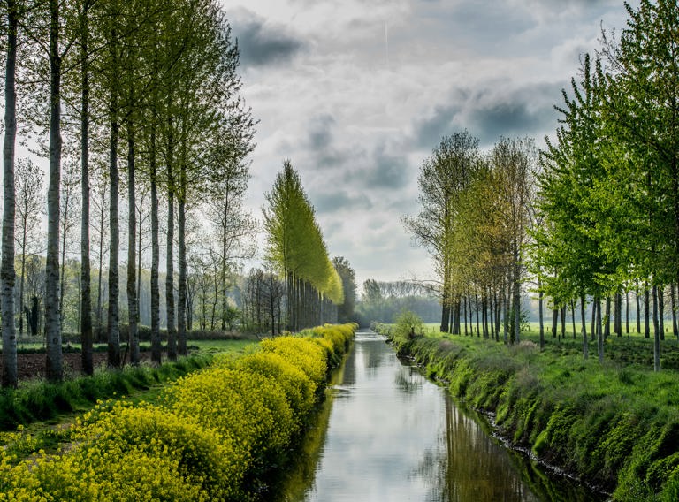 Sfeerbeelden Natuur Diepenbeek 12 (1)