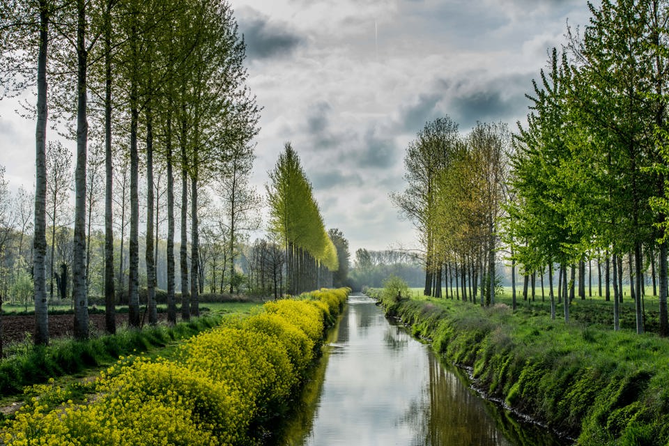 Sfeerbeelden Natuur Diepenbeek 12 (1)