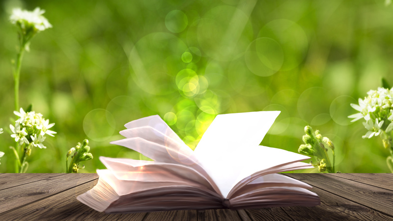 Adobestock 248009564